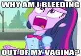 My Little Pony: Friendship is Magic