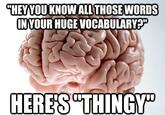 Scumbag Brain