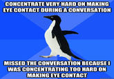 Socially Awkward Penguin