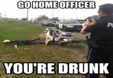 Go Home, You Are Drunk
