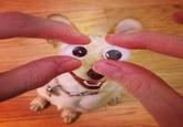 Forced Perspective