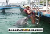 Brazzers