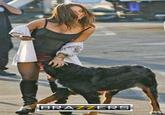 Brazzers