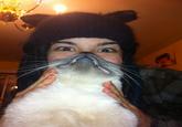 Cat Beards