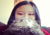 Cat Beards