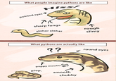 What People Think I Do / What I Really Do