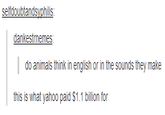 Night Blogging