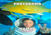 Ridiculously Photogenic Guy / Zeddie Little
