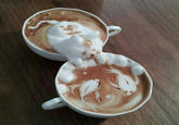 Latte Art / Coffee Art