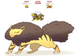 Pokefusion / Pokemon Fusion