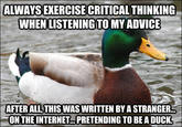Actual Advice Mallard