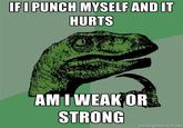Philosoraptor