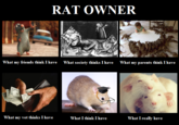 What People Think I Do / What I Really Do
