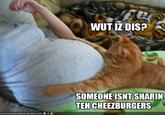 LOLcats