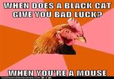 Anti-Joke Chicken