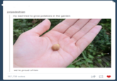 Tumblr