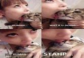 Stahp