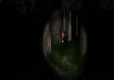 The Villager