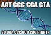 Scumbag DNA