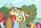 My Little Pony: Friendship is Magic