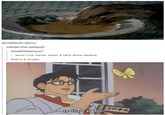 Tumblr