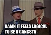Damn It Feels Good To Be A Gangsta