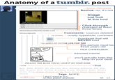 Tumblr