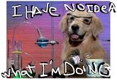 Labrador Retriever Golden Retriever dog dog like mammal dog breed mammal golden retriever retriever photo caption puppy