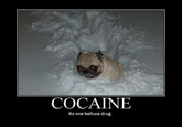 COCAINE Its one helluva drug.