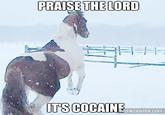 PRAISE THE LORD T'S COCAINE MEMECENTER.COM