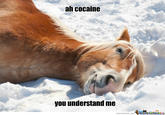 ah cocaine you understand me memecenter.com MameCenterae