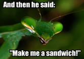 Make Me a Sandwich