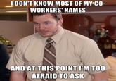 "Afraid to Ask" Andy