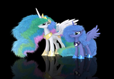 Fluffy Ponies