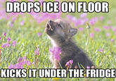 Baby Insanity Wolf