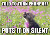 Baby Insanity Wolf