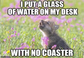 Baby Insanity Wolf