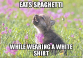 Baby Insanity Wolf