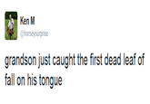 Ken M