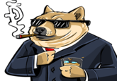 Doge