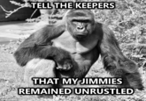 That Really Rustled My Jimmies