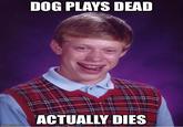Bad Luck Brian