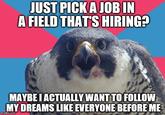 Millennial Falcon