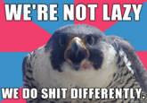 Millennial Falcon