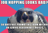 Millennial Falcon