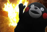 Kumamon