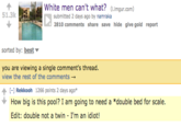 White men can't what? 51.3k submitted 2 days ago by namraka 2810 comments share save hide give gold report sorted by: best you are viewing a single comment's thread. view the rest of the comments → ↑ [-] Rekkooh 1266 points 2 days ago" How big is this pool? I am going to need a *double bed for scale Edit: double not a twin - I'm an idiot!