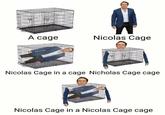 A cage Nicolas Cage Nicolas Cage in a cage Nicholas Cage cage Nicolas Cage in a Nicolas Cage cage