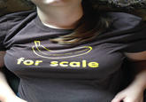 for scale T-shirt t shirt black yellow shoulder neck girl