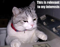 This is Relevant to My Interest